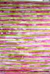 pink Streifen klein.jpg (382310 Byte)
